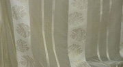  Vitex Victoria 01